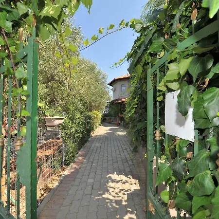 Apartment Alice Wonderland Nea Halkidiki *